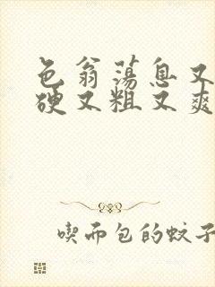 色翁荡息又大又硬又粗又爽小莹封面