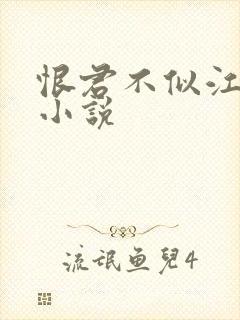 恨君不似江楼月小说