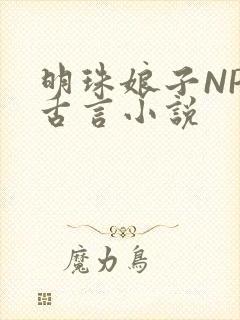 明珠娘子NPC古言小说