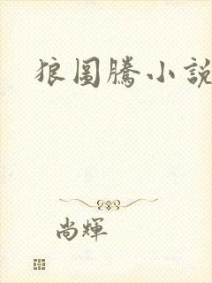 狼图腾小说封面