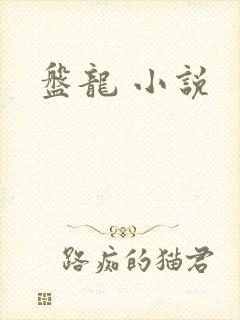 盘龙 小说