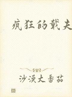 疯狂的戴夫封面