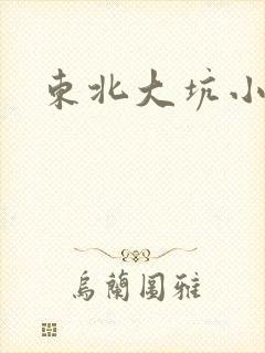 东北大坑小说