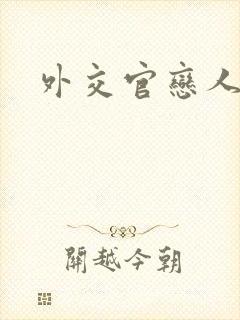 外交官恋人小说封面