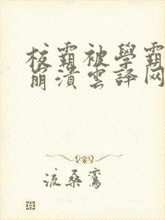 校霸被学霸玩到崩溃云译网