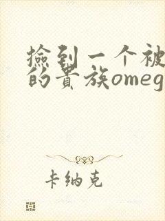 捡到一个被抹布的贵族omega封面