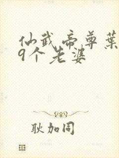 仙武帝尊叶辰19个老婆