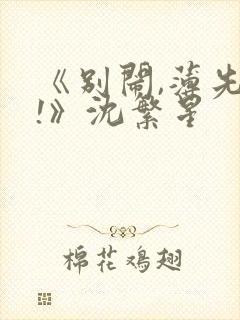 《别闹,薄先生!》沈繁星