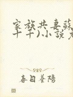 家族共妻苏苏(十千)小说免费