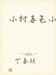 小村春色小说