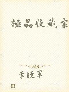 极品收藏家封面