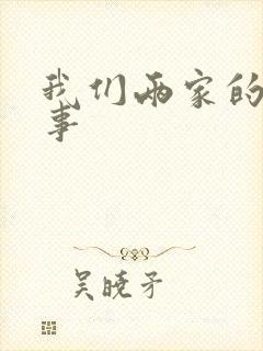 我们两家的荒唐事封面