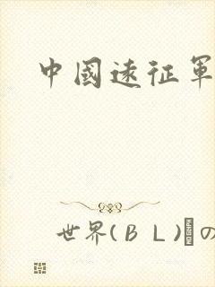 中国远征军小说封面