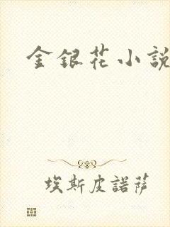 金银花小说乐可