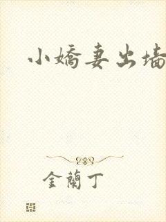 小娇妻出墙记