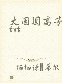 大团圆高芳小说txt封面
