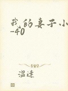 我的妻子小谨1-40