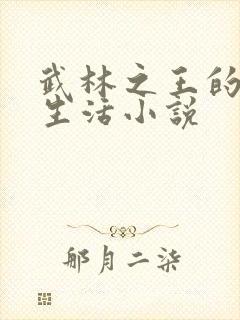 武林之王的退隐生活小说