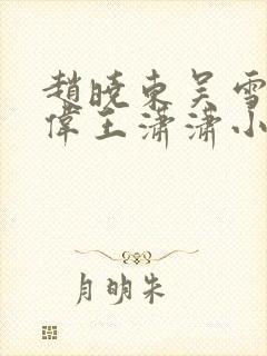 赵晓东吴雪晴郑伟王潇潇小说