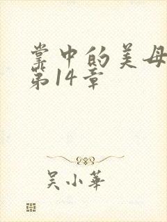 掌中的美母版主第14章封面