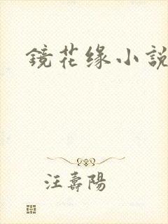 镜花缘小说