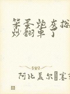 笨蛋炮灰总被爆炒翻车了