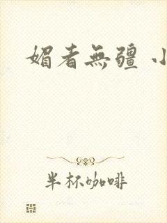 媚者无疆 小说封面