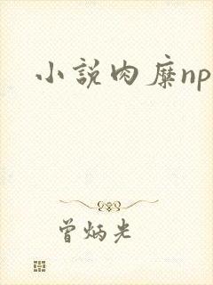 小说肉糜np