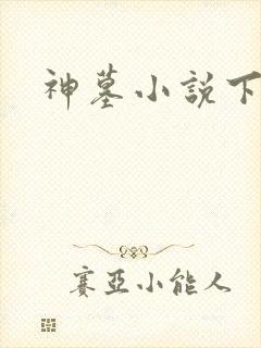 神墓小说下载封面