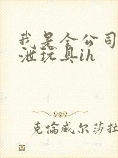 我是全公司的发泄玩具ih