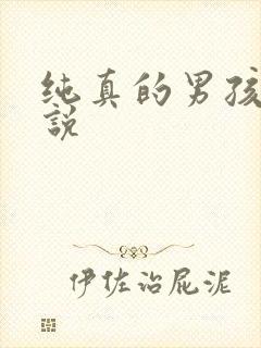 纯真的男孩子小说