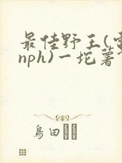最佳野王(电竞nph)一坨薯饼