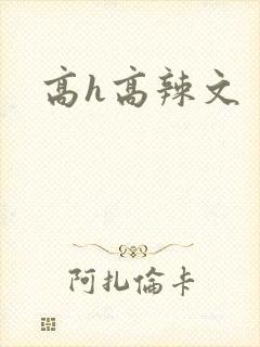 高h高辣文