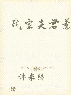 我家夫君惹不起