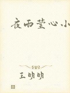 夜雨莹心小说