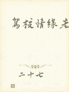 驾校情缘老赵封面