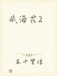 藏海花2