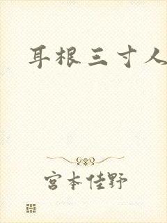 耳根三寸人间封面