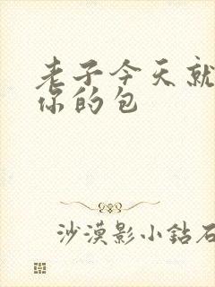 老子今天就要开你的包封面