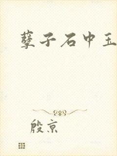 孽子石中玉