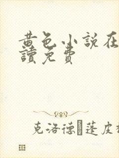 黄色小说在线阅读免费