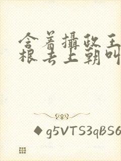 含着摄政王的紫根去上朝叫什么封面