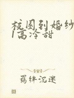 校园到婚纱1V1高冷甜