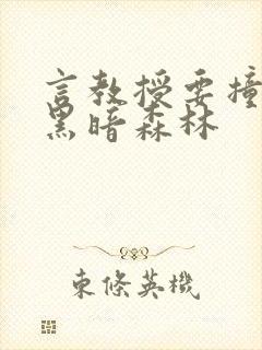 言教授要撞坏了黑暗森林