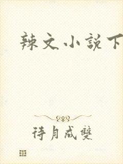 辣文小说下载封面