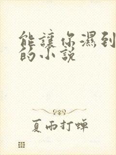 能让你湿到不行的小说