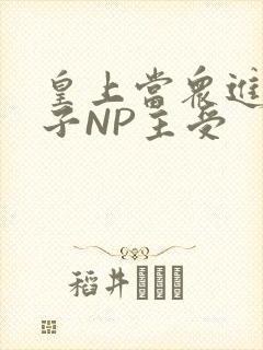 皇上当众进入太子NP主受