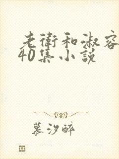 老卫和淑容1-40集小说