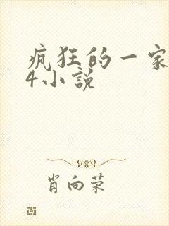 疯狂的一家ps4小说