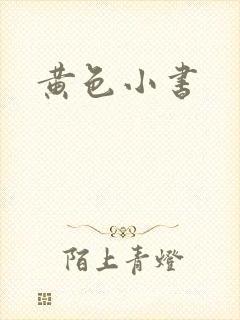 黄色小书